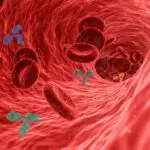 virus, pathogen, antibody, antibodies, immune system, red blood cells, blood vessel, artery, vein, capillary, inflammation, disease, immunity, infection, health, medical, 3d, human body, circulation, antibody, antibody, antibody, antibodies, antibodies, immune system, immune system, immune system, immune system, blood vessel, blood vessel, blood vessel, blood vessel, artery, inflammation, inflammation, inflammation, inflammation, inflammation, immunity, human body, human body, circulation